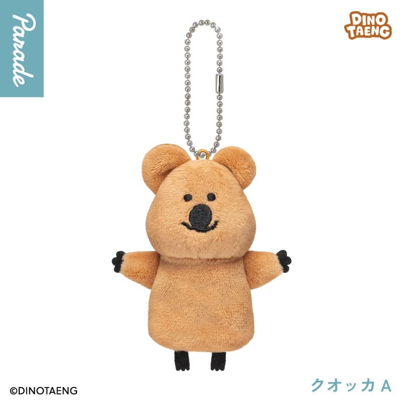 Quokka A