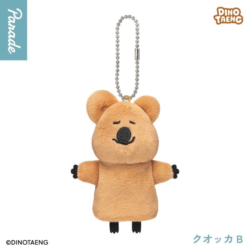 Quokka B