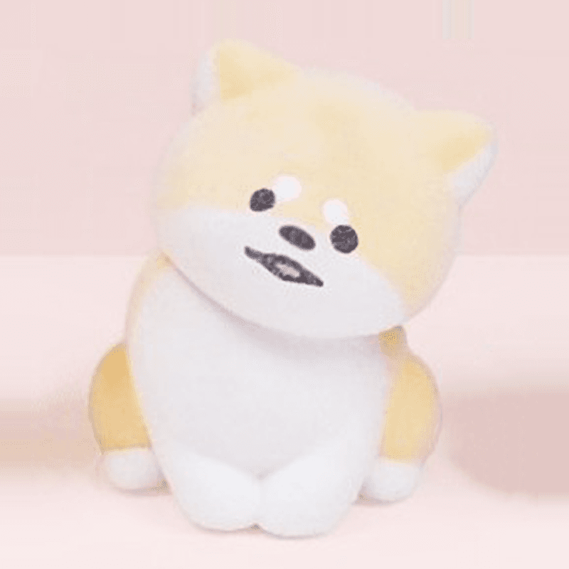 柴犬